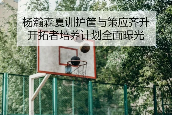 杨瀚森夏训护筐与策应齐升 开拓者培养计划全面曝光